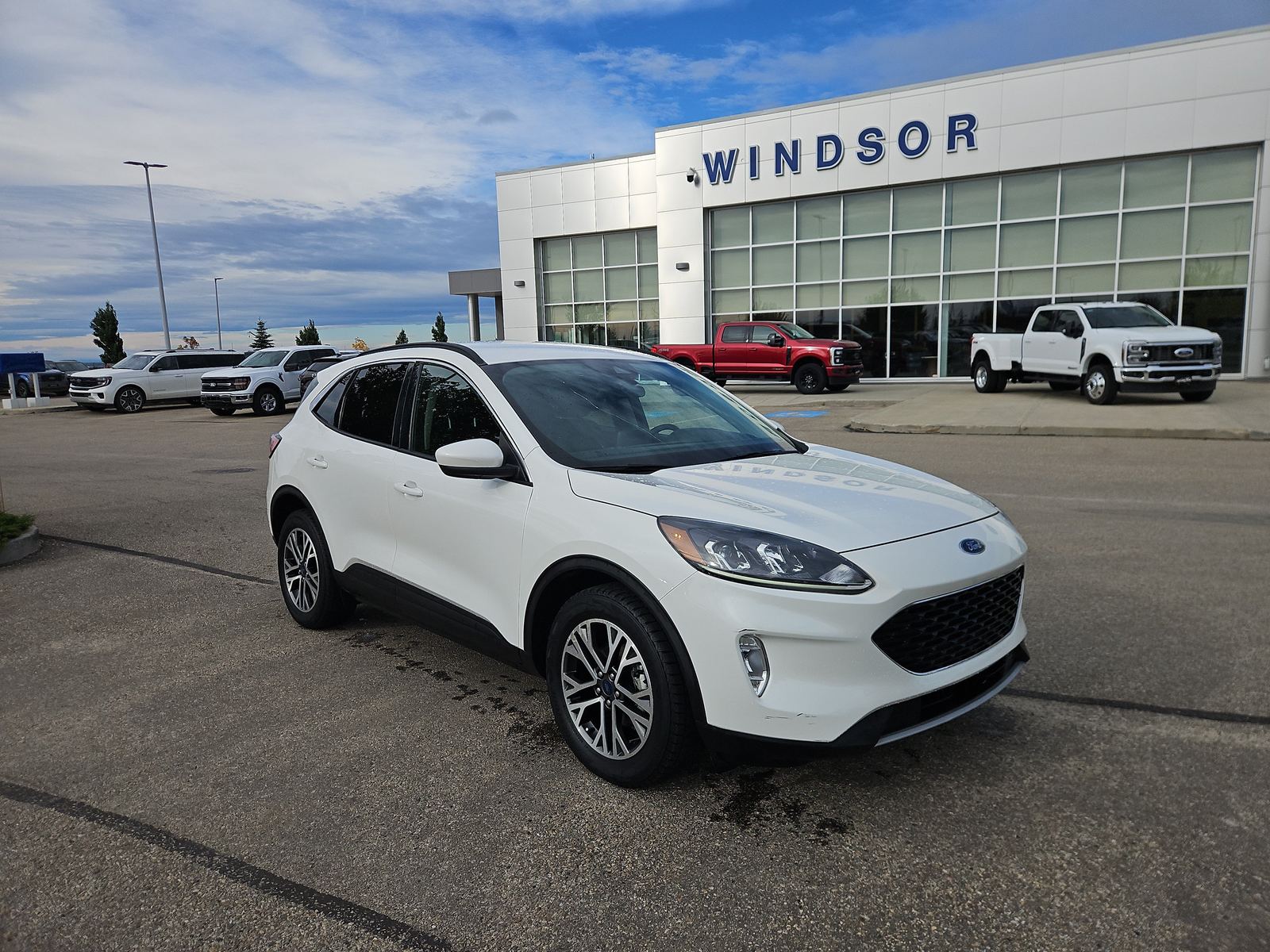 2020 Ford Escape SEL — photo 1 of 36