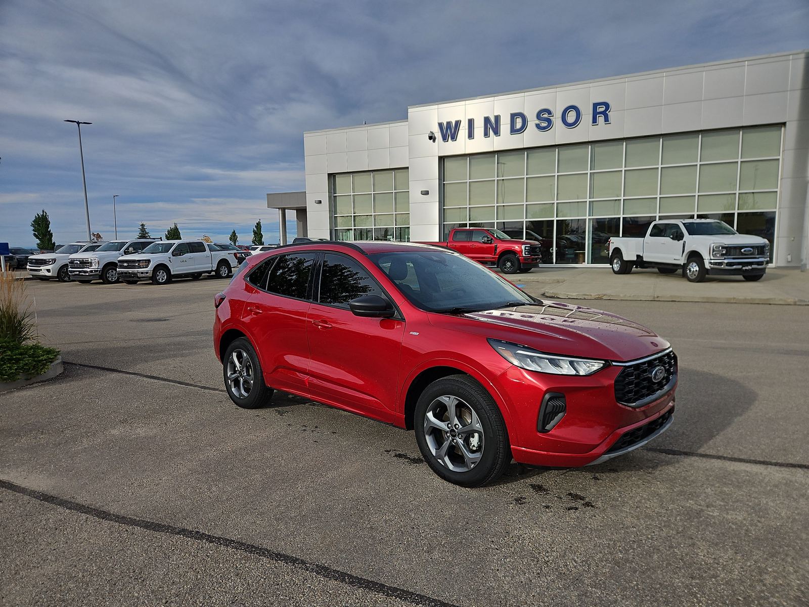 2024 Ford Escape ST-Line — photo 1 of 36