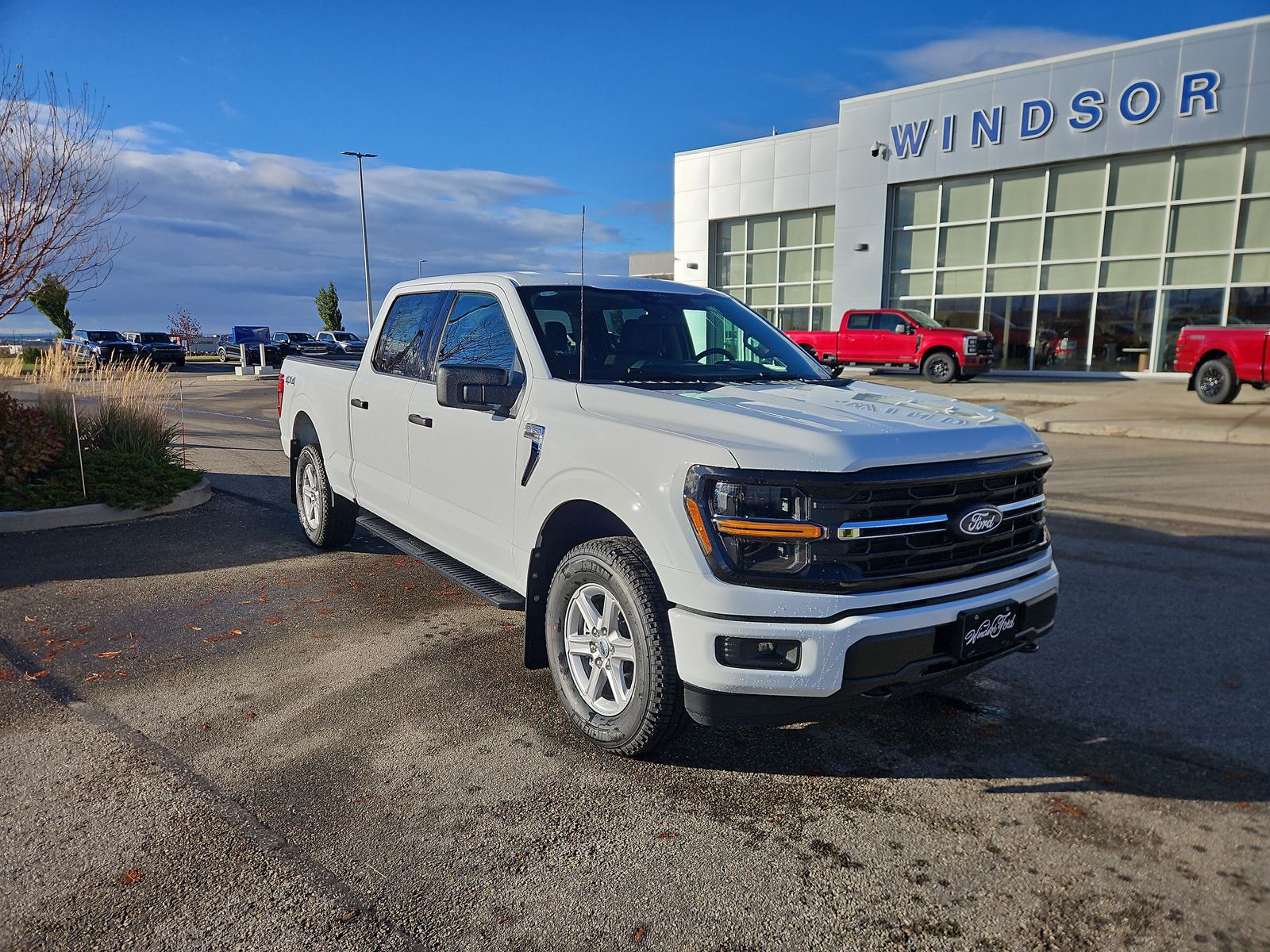 2026 Ford F-150 XLT — photo 1 of 20